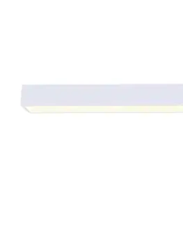 Svietidlá  Neo  NEO 07072-90-LED Stmievateľné stropné svietidlo CANTO 50W/230V biela Tuya +DO 