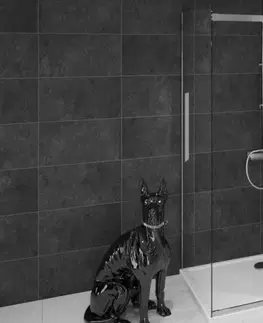 Sprchovacie kúty REA/S - Sprchovací kút Nixon 90x120 PRAVÝ KPL-00420