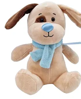 Plyšové hračky TM TOYS - Pes plyšový s modrým šálom a visačkou 23cm