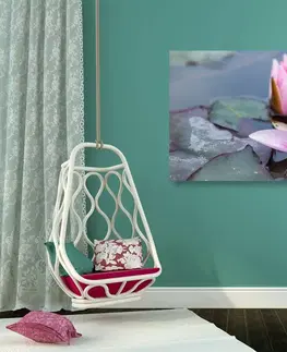 Obrazy kvetov Obraz ružový lotosový kvet