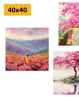 Zostavy obrazov Set obrazov nádherná imitácia olejomaľby v ružovej farbe