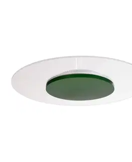 Stropné svietidlá Deko-Light Stropné svietidlo Zaniah LED, 360° svetlo, 24 W, zelené