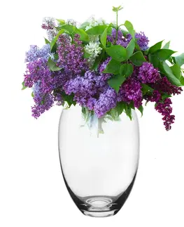 Vázy sklenené Crystalex Sklenená váza, 15,5 x 22,5 cm