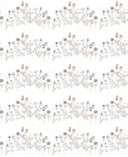 Tapety kvety Tapeta nežná lúka v bielej farbe