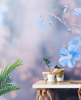 Samolepiace tapety Samolepiaca fototapeta modré kvety na vintage pozadí