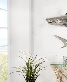 Bytové doplnky a dekorácie Nástenná dekorácia žralok DAKENTA Dekorhome L´avé