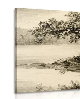 Čiernobiele obrazy Obraz orientálna čerešňa v sépiovom prevedení