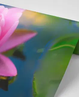Samolepiace tapety Samolepiaca fototapeta nádherný ružový kvet na jazere