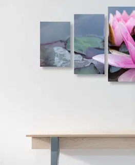 Obrazy kvetov 5-dielny obraz ružový lotosový kvet