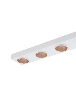 Svietidlá Eglo Eglo 39376 - LED Stmievateľné stropné svietidlo RONZANO 4xLED/3,3W/230V 