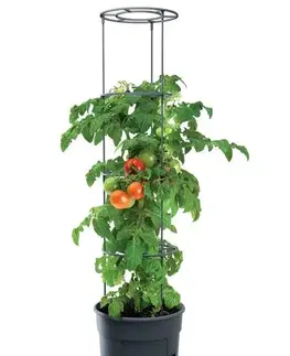 Kvetináče, hrantíky a dekorácie Kvetináč na pestovanie paradajok 29,5 cm