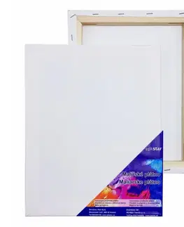 Hračky PKSTAR - Maliarske plátno na ráme 18x24 cm