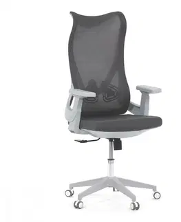 Kancelárske stoličky Kancelárska stolička KA-S248 Autronic Sivá