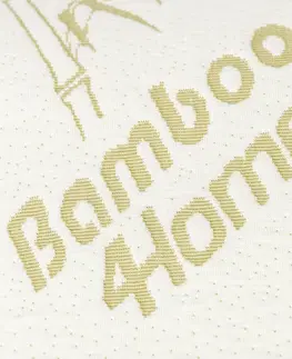 Vankúše 4Home Vankúš z pamäťovej peny Bamboo neprofilovaný, 36 x 54 cm