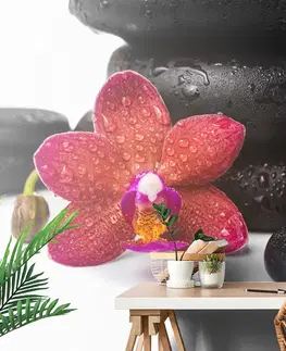 Tapety Feng Shui Tapeta orchidea a Zen kamene na bielom pozadí