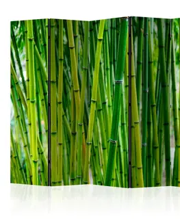 Paravány Paraván Bamboo Forest Dekorhome 135x172 cm (3-dielny)