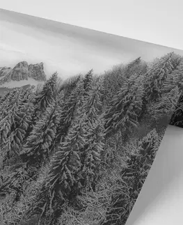 Samolepiace tapety Samolepiaca fototapeta čiernobiele zamrznuté hory