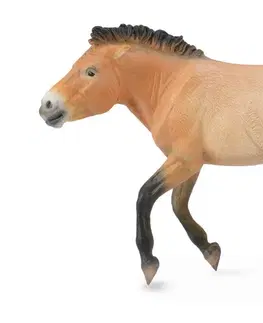 Hračky - figprky zvierat COLLECTA - kôň Przewalského