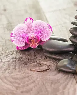 Samolepiace tapety Samolepiaca fototapeta orchidea a Zen kamene na dreve