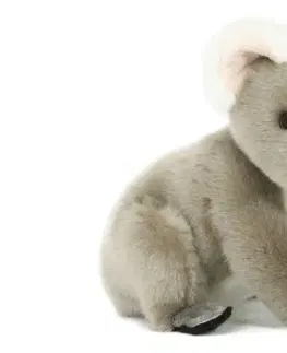 Plyšové hračky LAMPS - Koala plyšová 20cm