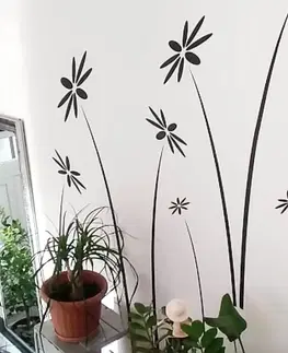 Nálepky na stenu Sisi kvety - nálepky na stenu