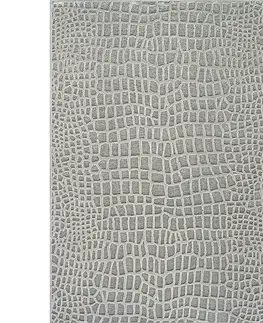 Moderné koberce Viskózový koberec Genova 2,0/2,9 38512 595953