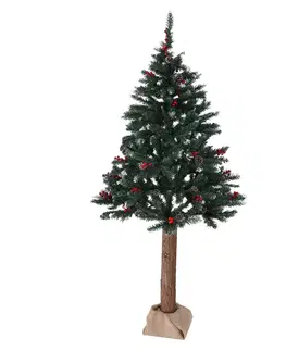 Vianočné stromčeky Vianočný stromček so šiškami na pníku, posnežený, 180 cm, PNIK TYP 2