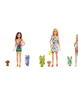Hračky bábiky MATTEL - Barbie Dha Sestra S Plavkami, Mix Produktov