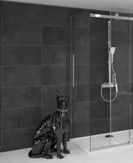 Sprchovacie kúty REA/S - Sprchovací kút Nixon 80x100 ĽAVÝ KPL-00403
