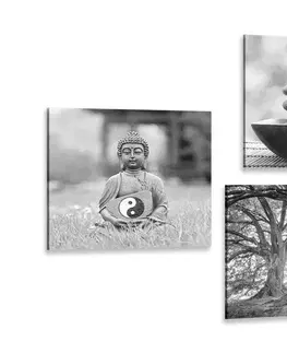 Zostavy obrazov Set obrazov v čiernobielom štýle Feng Shui