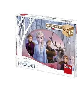 Drevené hračky DINOTOYS - Drevené kocky Frozen II 12 ks