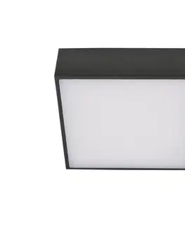 Svietidlá Azzardo Azzardo  - LED Stropné svietidlo FALCO LED/12W/230V 