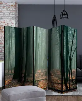 Paravány Paraván Witches' forest Dekorhome 225x172 cm (5-dielny)