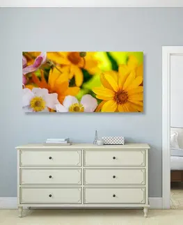 Obrazy kvetov Obraz letná kytica
