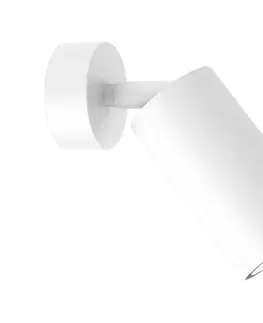 Svietidlá  Nástenné bodové svietidlo HUDSON 1xGU10/8W/230V biela 