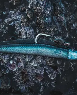 rybolov Súprava mäkkých umelých nástrah typu shad piesočnica Eelo 110 8 g Ayu/modrá
