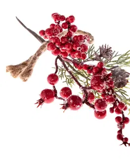 Vianočné dekorácie Umelá zimná vetvička Rose hip červená, 10 x 27 cm​