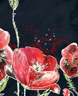 Obrazy kvetov Obraz červené maky na čiernom pozadí