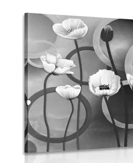 Čiernobiele obrazy Obraz maky na abstraktnom pozadí v čiernobielom prevedení