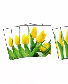 Nálepky na obkladačky Nálepky na obkladačky žlté tulipány