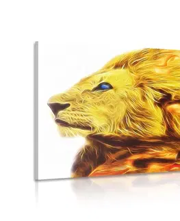 Obrazy zvierat Obraz ohnivý lev