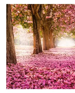 Tapety Samolepiaca tapeta ružová alej - Pink grove