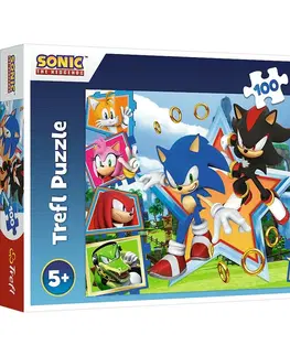 Puzzle Trefl Puzzle Sonic Zoznámte sa s ježkom, 100 dielikov