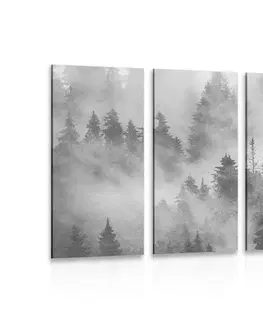 Čiernobiele obrazy 5-dielny obraz hory v hmle v čiernobielom prevedení