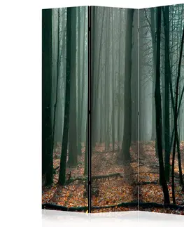 Paravány Paraván Witches' forest Dekorhome 135x172 cm (3-dielny)