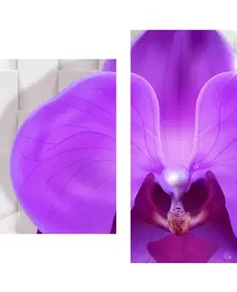 Obrazy kvetov 5-dielny obraz orchidea na abstraktnom pozadí