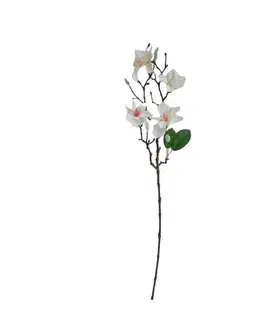 Kvety Umelá vetvička Magnólia biela, 64 cm