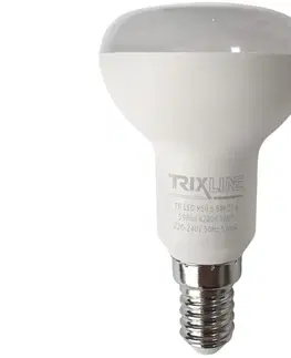 LED osvetlenie  LED Žiarovka R50 E14/6,5W/230V 4200K 
