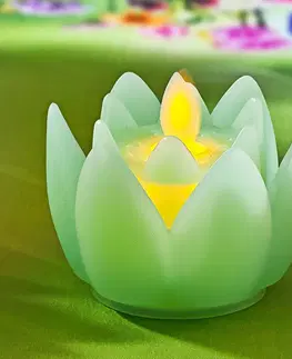 Drobné dekorácie a doplnky LED kvet