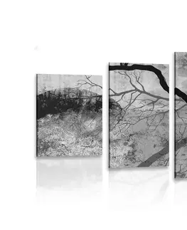 Čiernobiele obrazy 5-dielny obraz surrealistické stromy v čiernobielom prevedení